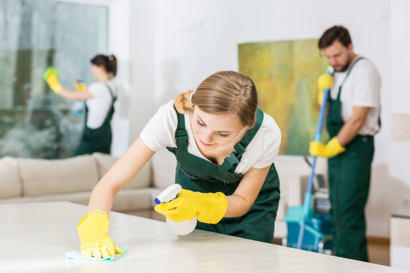 Basement Vacuuming in Redmond, WA