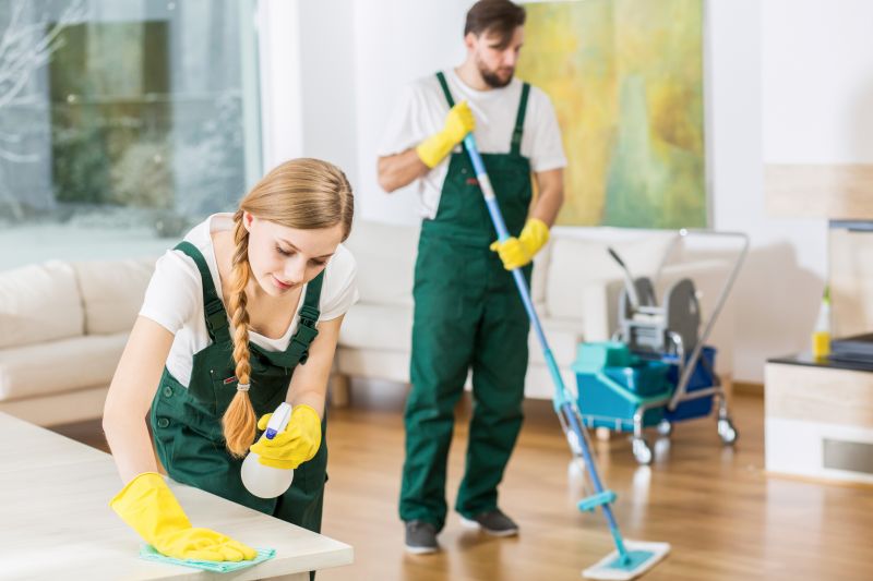 Basement Vacuuming in Bellevue, WA